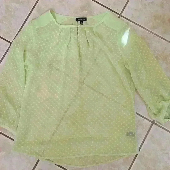 The Limited Tops - The Limited Polka Dot Sheer Shirt Green/Mint Black